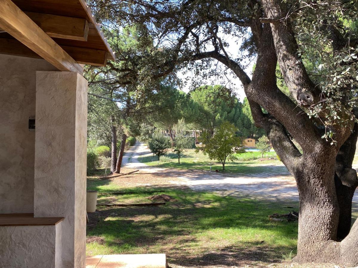 Casa Valdesanmartin - Country House, 10500Sqm, Pool, Paddel & Bbq El Tiemblo Luaran gambar